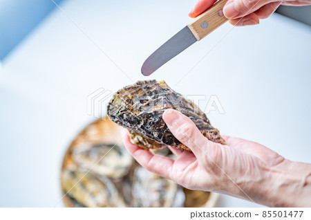 一個女人試圖打開一個真正的牡蠣 一個女人試圖打開一個真正的牡蠣 85501477