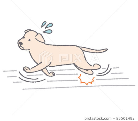 Dog slipping on the floor Dog slipping on the floor 85501492