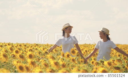 Teenage girls walk across the field with sunflowers and smile. Summer day walks in flower plantings. Childhood of farmers. Girlfriends together. Growing seeds for squeezing vegetable oil 85501524