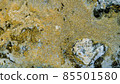 Marble texture of white and gold color. Luxurious abstract fluid art painting on the background of the technique of alcohol ink in black and gold colors. 85501580