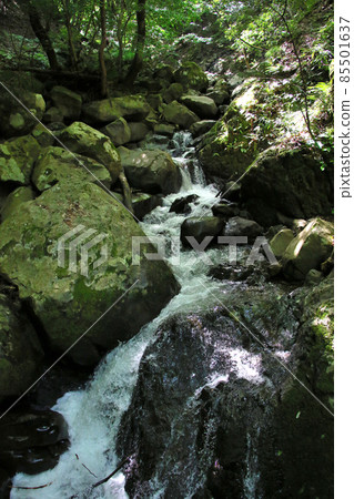 位於兵庫縣矢部市大谷町的日本百佳瀑布之一的天瀑。 85501637