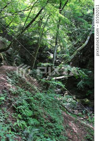 Tendaki, one of the 100 best waterfalls in Japan in Oya-cho, Yabu City, Hyogo Prefecture. 85502011