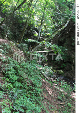 Tendaki, one of the 100 best waterfalls in Japan in Oya-cho, Yabu City, Hyogo Prefecture. Tendaki, one of the 100 best waterfalls in Japan in Oya-cho, Yabu City, Hyogo Prefecture. 85502012