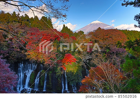 Autumn leaves waterfall and Fuji Autumn leaves waterfall and Fuji 85502016