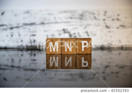 商業形象（IT 術語） 方塊字 MNP 85502393