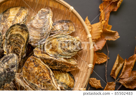 冬天是生蠔的季節 冬天是生蠔的季節 85502483