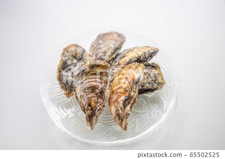Winter is the season for oysters Winter is the season for oysters 85502525