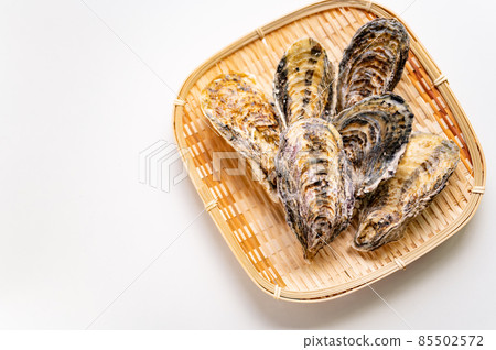 冬天是生蠔的季節 85502572