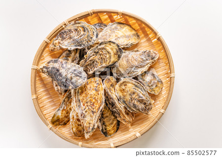 Winter is the season for oysters Winter is the season for oysters 85502577
