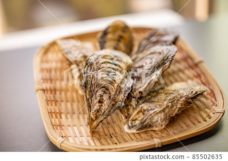 冬天是生蠔的季節 冬天是生蠔的季節 85502635
