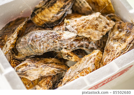 Pacific oysters sent in a toro box 85502680