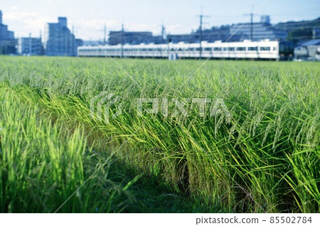 JR West Japan 321 series 85502784