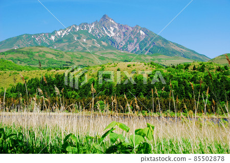 Hokkaido Rishiri Rebun Sarobetsu National Park Rishiri Island Otatomari Swamp Mt. Rishiri Nature, scenery, scenery, summer, mountains, sky, fine weather 85502878