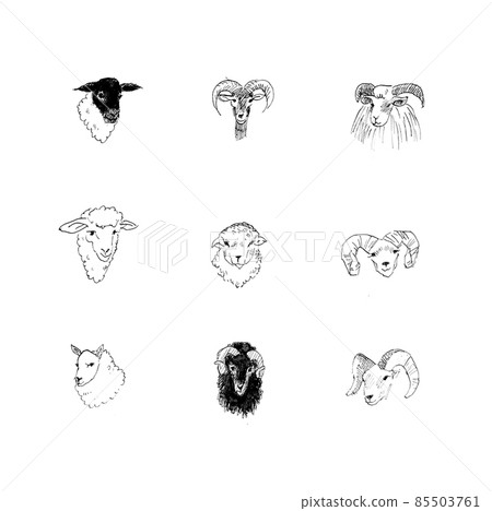 The sheep of the world 85503761