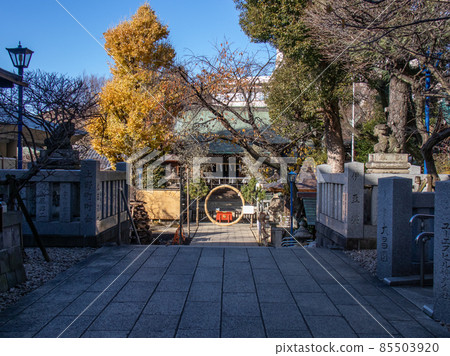 Medicine goddess Goshojyo shrine 85503920