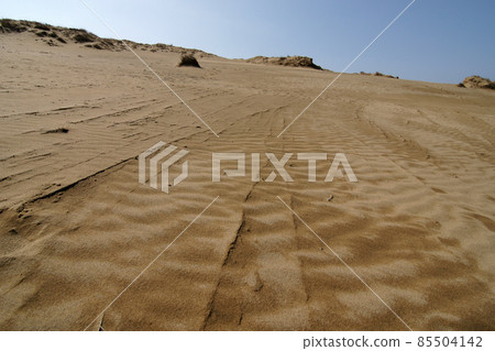 Tottori four seasons walk spring sand dunes 85504142