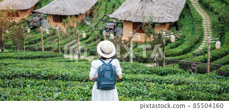 Happy tourist woman in white dress enjoy beautiful Tea garden.Traveler visiting in Ban Rak Thai village, Mae Hong Son, Thailand. travel, vacation and holiday concept Happy tourist woman in white dress enjoy beautiful Tea garden.Traveler visiting in Ban Rak Thai village, Mae Hong Son, Thailand. travel, vacation and holiday concept 85504160