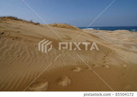 Tottori four seasons walk spring sand dunes 85504172