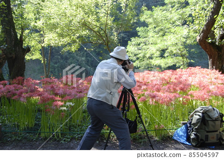快門機會 快門機會 85504597