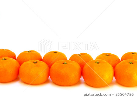 紀州 mikan 邊緣攝影 紀州 mikan 邊緣攝影 85504786