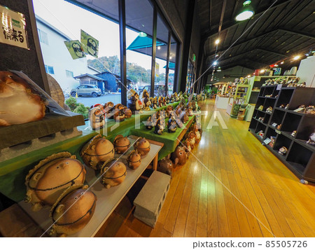 Tanuki Town Shigaraki Ware "Shigaraki Tanuki Day" 85505726