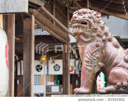 狸町信樂燒“信樂狸日” 狸町信樂燒“信樂狸日” 85505902