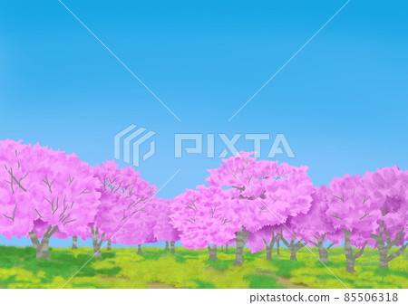 Cherry blossom landscape Yoshino cherry tree 85506318