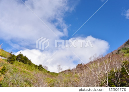 深秋的風景 85506778