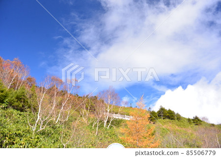 從山田牧場到志賀高原的深秋風景 從山田牧場到志賀高原的深秋風景 85506779