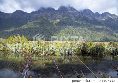 New Zealand South Island Mirror Lakes New Zealand South Island Mirror Lakes 85507558