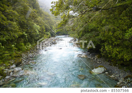 新西蘭南島米爾福德峽灣公路沿岸的一條河流克里斯蒂瀑布附近 85507566