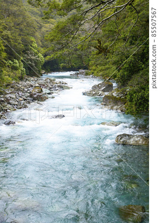 新西蘭南島米爾福德峽灣公路沿岸的一條河流克里斯蒂瀑布附近 85507567
