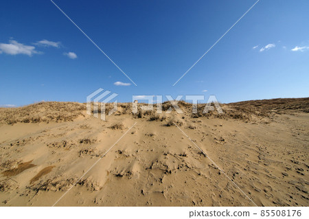 Tottori four seasons walk spring sand dunes 85508176