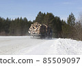 Extraction of timber 85509097