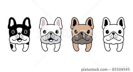 dog vector french bulldog icon puppy pet breed character cartoon symbol scarf illustration design 85509545