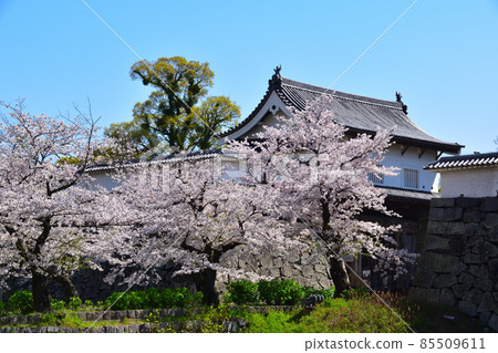 櫻花觀福岡城 櫻花觀福岡城 85509611