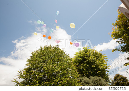 Blue sky and balloon release Blue sky and balloon release 85509713