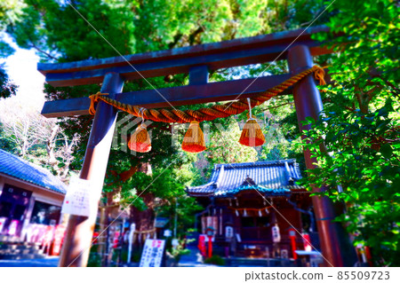 鎌倉市大町的八雲神社,被譽為鎌倉最古老的避邪神社 鎌倉市大町的八雲神社,被譽為鎌倉最古老的避邪神社 85509723