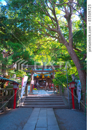鎌倉市大町的八雲神社,被譽為鎌倉最古老的避邪神社 鎌倉市大町的八雲神社,被譽為鎌倉最古老的避邪神社 85509725