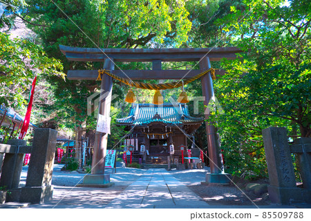 鎌倉市大町的八雲神社,被譽為鎌倉最古老的避邪神社 鎌倉市大町的八雲神社,被譽為鎌倉最古老的避邪神社 85509788