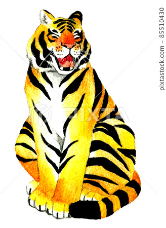 坐著的老虎打哈欠的插畫素材 動物手繪水彩插圖 坐著的老虎打哈欠的插畫素材 動物手繪水彩插圖 85510430