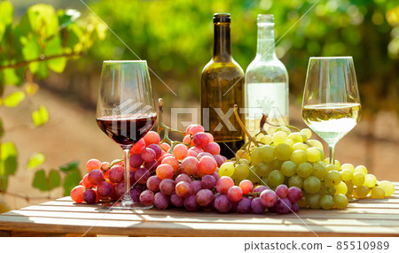 still life with glasses of red and white wine and grapes in field of vineyard 85510989