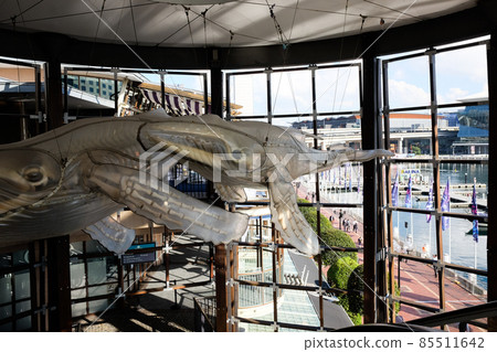 Darling Harbor, a fashionable tourist destination that represents Sydney, Australia's most beautiful and charming port city in the world 85511642