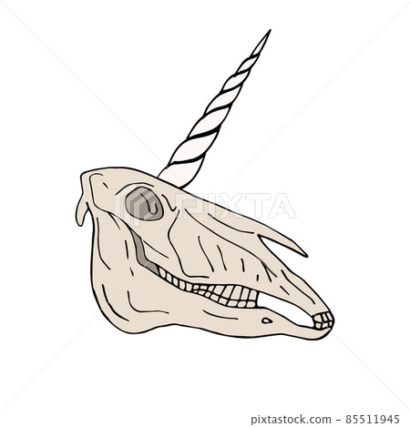 Vector hand drawn doodle sketch unicorn skull 85511945