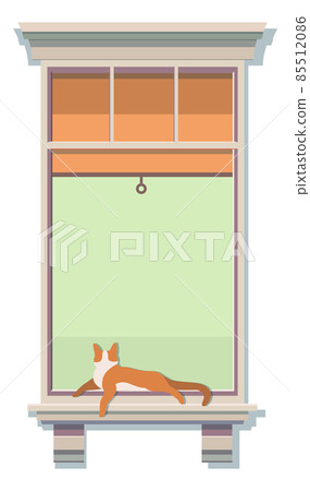 Cat lying on windosill. Wooden frame of neighbor window 85512086