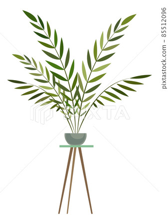 Exotic plant on pot stand. Urban jungle houseplant Exotic plant on pot stand. Urban jungle houseplant 85512096