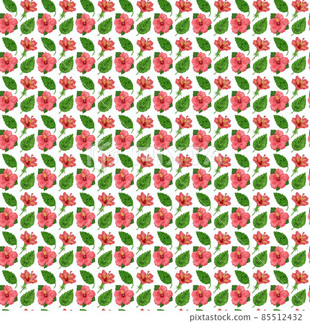 illustration of a seamless pattern of hibiscus plants - flowers and leaves of a plant on a illustration of a seamless pattern of hibiscus plants - flowers and leaves of a plant on a 85512432