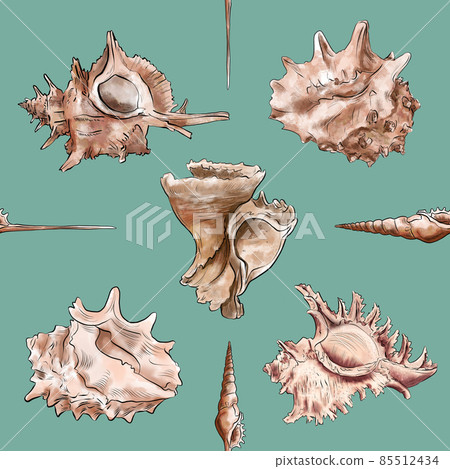 Watercolor digital illustration seamless pattern of seashells from brown marine life on a blue Watercolor digital illustration seamless pattern of seashells from brown marine life on a blue 85512434