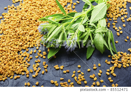 Fenugreek seeds and leaves 85512471
