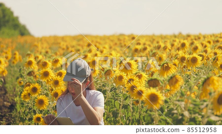 Girl businessman in the fields with sunflower makes statistics of the harvest in the tablet. Comparison of achieved results and goals. Life is computer technology. Agronomic business. Sunflower seeds Girl businessman in the fields with sunflower makes statistics of the harvest in the tablet. Comparison of achieved results and goals. Life is computer technology. Agronomic business. Sunflower seeds 85512958